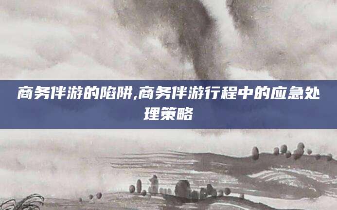 临沧商务伴游的陷阱,商务伴游行程中的应急处理策略